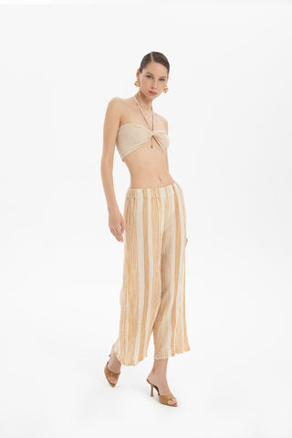 Crop Top with Elastic Back